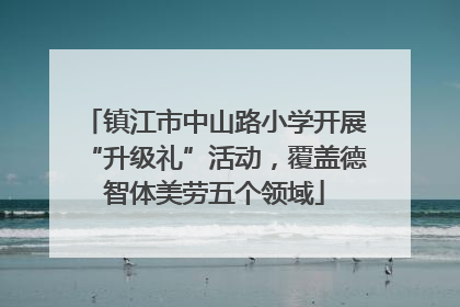 镇江市中山路小学开展“升级礼”活动，覆盖德智体美劳五个领域