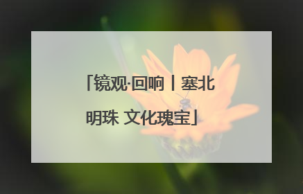 镜观·回响丨塞北明珠 文化瑰宝
