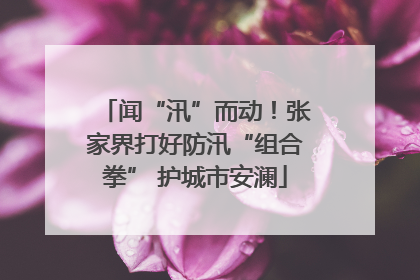 闻“汛”而动！张家界打好防汛“组合拳” 护城市安澜