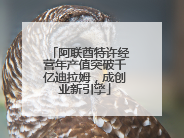 阿联酋特许经营年产值突破千亿迪拉姆，成创业新引擎