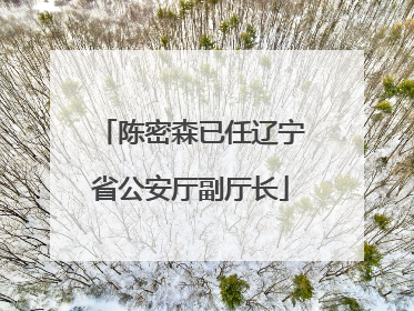 陈密森已任辽宁省公安厅副厅长