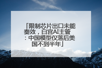 限制芯片出口未能奏效，白宫AI主管：中国模型仅落后美国不到半年