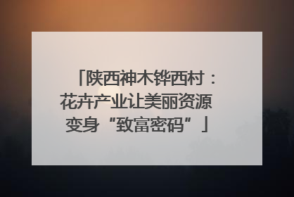 陕西神木铧西村：花卉产业让美丽资源变身“致富密码”