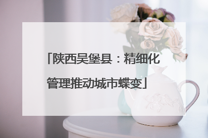 陕西吴堡县：精细化管理推动城市蝶变