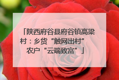 陕西府谷县府谷镇高梁村：乡货“触网出村” 农户“云端致富”
