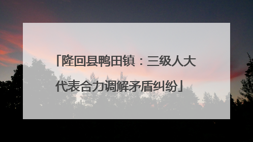 隆回县鸭田镇：三级人大代表合力调解矛盾纠纷
