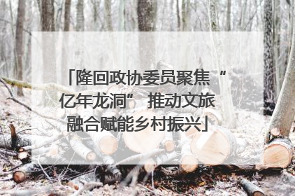 隆回政协委员聚焦“亿年龙洞” 推动文旅融合赋能乡村振兴