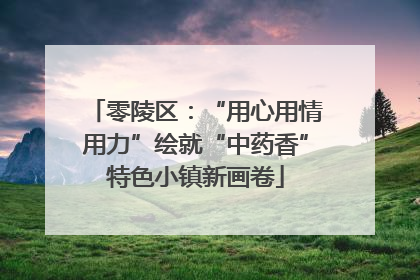 零陵区：“用心用情用力”绘就“中药香”特色小镇新画卷