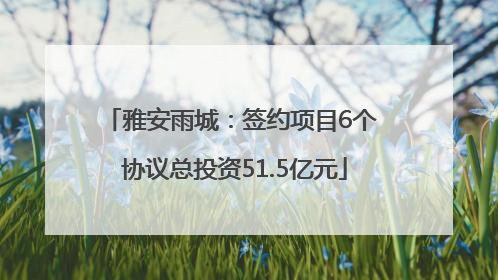 雅安雨城：签约项目6个 协议总投资51.5亿元