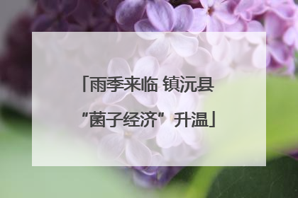 雨季来临 镇沅县“菌子经济”升温