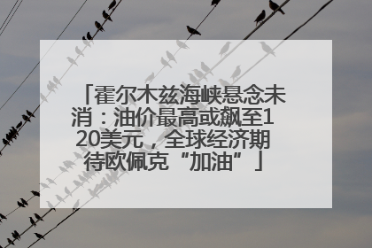 霍尔木兹海峡悬念未消：油价最高或飙至120美元，全球经济期待欧佩克“加油”