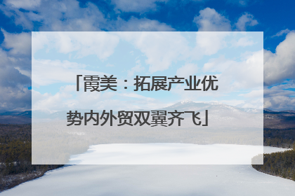 霞美：拓展产业优势内外贸双翼齐飞