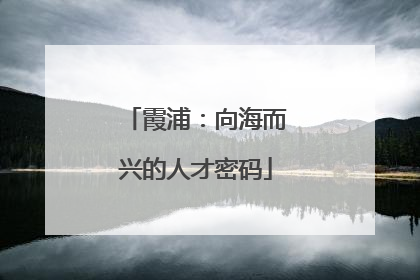 霞浦：向海而兴的人才密码