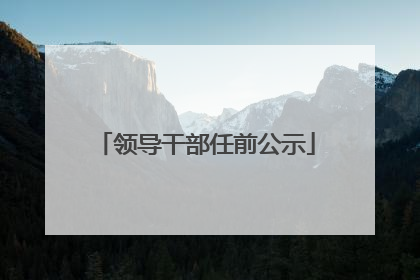 领导干部任前公示
