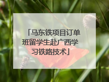 马东铁项目订单班留学生赴广西学习铁路技术