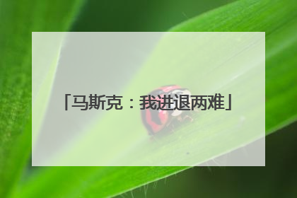 马斯克：我进退两难