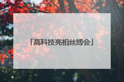 高科技亮相丝博会