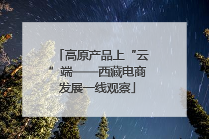 高原产品上“云”端——西藏电商发展一线观察