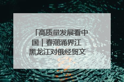 高质量发展看中国｜春潮涌界江 黑龙江对俄经贸文旅交流绿意盎然