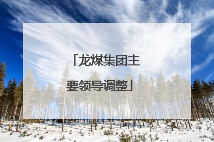 龙煤集团主要领导调整