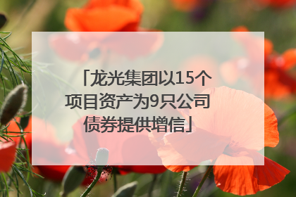 龙光集团以15个项目资产为9只公司债券提供增信