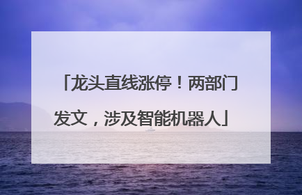 龙头直线涨停！两部门发文，涉及智能机器人