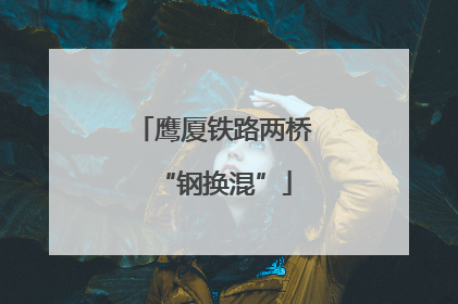 鹰厦铁路两桥“钢换混”