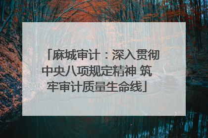 麻城审计：深入贯彻中央八项规定精神 筑牢审计质量生命线