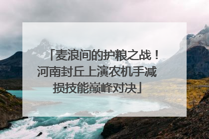 麦浪间的护粮之战！河南封丘上演农机手减损技能巅峰对决