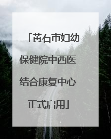 黄石市妇幼保健院中西医结合康复中心正式启用