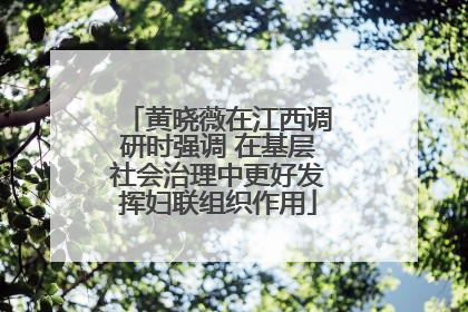 黄晓薇在江西调研时强调 在基层社会治理中更好发挥妇联组织作用