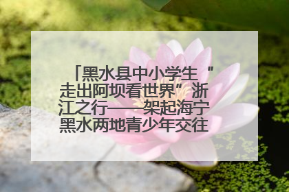 黑水县中小学生“走出阿坝看世界”浙江之行——架起海宁黑水两地青少年交往交流交融新桥梁