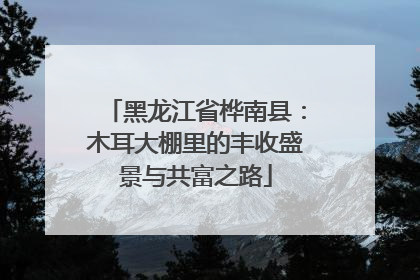 黑龙江省桦南县：木耳大棚里的丰收盛景与共富之路