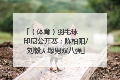 （体育）羽毛球——印尼公开赛：陈柏阳/刘毅无缘男双八强