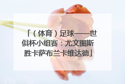 （体育）足球——世俱杯小组赛：尤文图斯胜卡萨布兰卡维达德