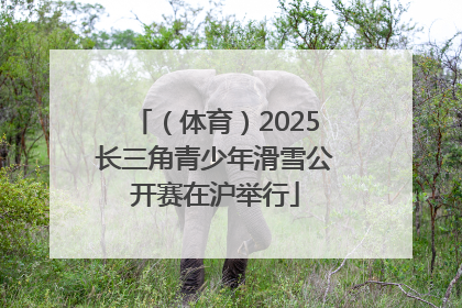 （体育）2025长三角青少年滑雪公开赛在沪举行