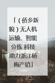 （侨乡新貌）无人机运输、智能分拣 科技助力浙江杨梅产销