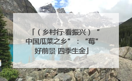 （乡村行·看振兴）“中国瓜菜之乡”：“莓”好前景 四季生金
