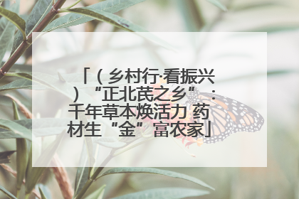 （乡村行·看振兴）“正北芪之乡”：千年草本焕活力 药材生“金”富农家