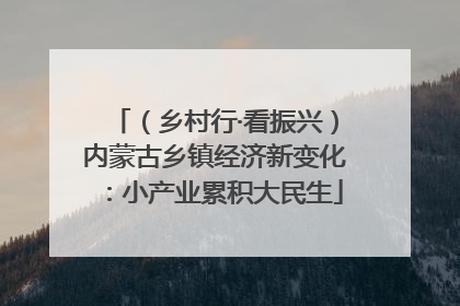（乡村行·看振兴）内蒙古乡镇经济新变化：小产业累积大民生