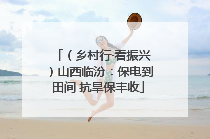 （乡村行·看振兴）山西临汾：保电到田间 抗旱保丰收