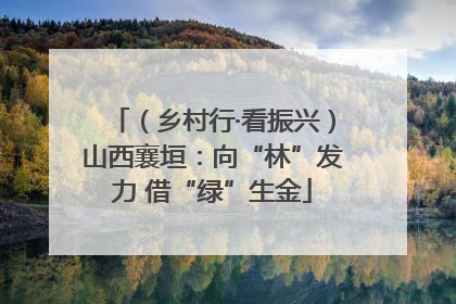 （乡村行·看振兴）山西襄垣：向“林”发力 借“绿”生金