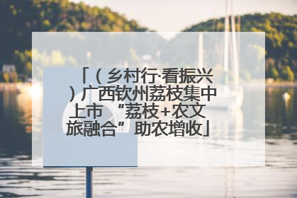 （乡村行·看振兴）广西钦州荔枝集中上市 “荔枝+农文旅融合”助农增收