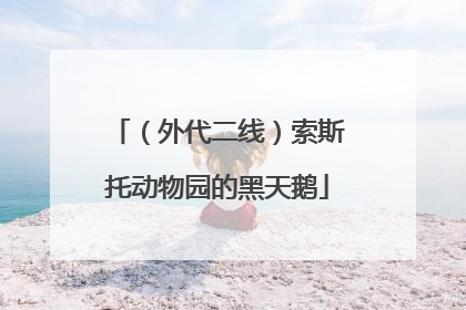 （外代二线）索斯托动物园的黑天鹅