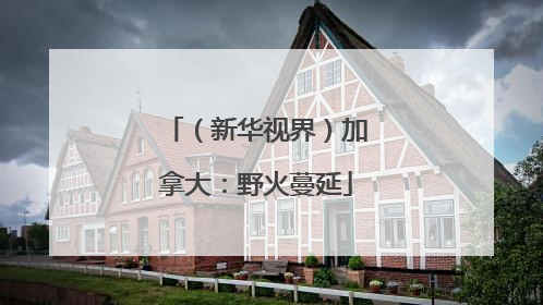 （新华视界）加拿大：野火蔓延