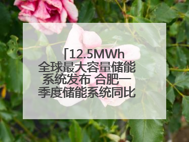 12.5MWh全球最大容量储能系统发布 合肥一季度储能系统同比增长425%