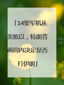 14架军机从美抵以，特朗普两周内决定是否打伊朗