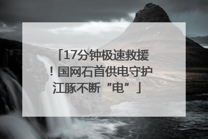 17分钟极速救援！国网石首供电守护江豚不断“电”