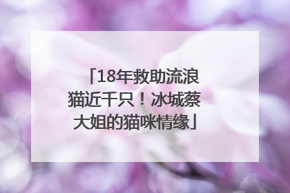 18年救助流浪猫近千只！冰城蔡大姐的猫咪情缘