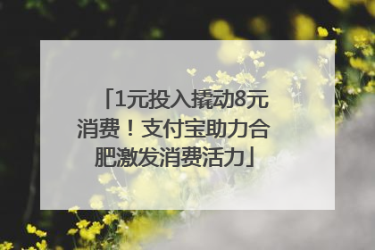 1元投入撬动8元消费！支付宝助力合肥激发消费活力